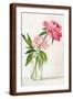Brown Frame