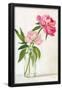 Essential Black