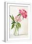 White Frame