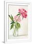 Gramercy White