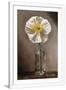 Gramercy White
