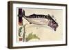 Mackerel, 1900-Edward Detmold-Framed Giclee Print