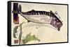 Mackerel, 1900-Edward Detmold-Framed Stretched Canvas