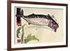 Mackerel, 1900-Edward Detmold-Framed Giclee Print