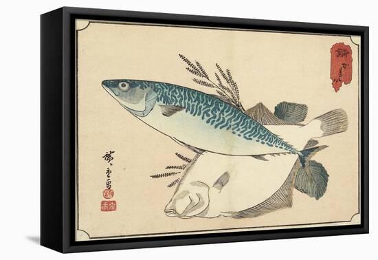 Mackerel and Halibut, Early 19th Century-Utagawa Hiroshige-Framed Stretched Canvas