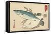 Mackerel and Halibut, Early 19th Century-Utagawa Hiroshige-Framed Stretched Canvas