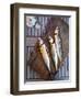 Mackerel Fish, Grebbestad, Bohuslan Region, West Coast, Sweden, Scandinavia, Europe-Yadid Levy-Framed Photographic Print