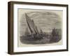 Mackerel Fishing, Brighton Boats-null-Framed Giclee Print