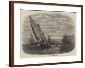 Mackerel Fishing, Brighton Boats-null-Framed Giclee Print