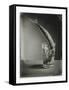 Mackerel in a Water Glass-Dave King-Framed Stretched Canvas