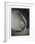 Mackerel in a Water Glass-Dave King-Framed Photographic Print