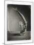 Mackerel in a Water Glass-Dave King-Mounted Photographic Print