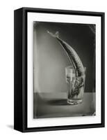 Mackerel in a Water Glass-Dave King-Framed Stretched Canvas