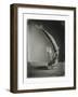 Mackerel in a Water Glass-Dave King-Framed Photographic Print