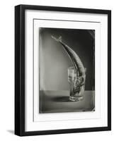 Mackerel in a Water Glass-Dave King-Framed Photographic Print