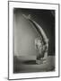 Mackerel in a Water Glass-Dave King-Mounted Photographic Print