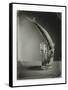 Mackerel in a Water Glass-Dave King-Framed Stretched Canvas