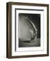 Mackerel in a Water Glass-Dave King-Framed Photographic Print