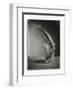 Mackerel in a Water Glass-Dave King-Framed Photographic Print