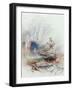 Mackerel on the Beach, circa 1830-35-J. M. W. Turner-Framed Giclee Print