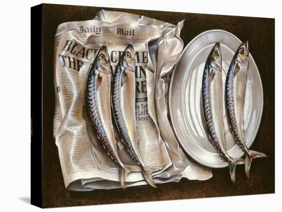 Mackerel with Mail, 1980-Sandra Lawrence-Stretched Canvas