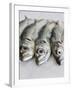 Mackerel-Mauricio Abreu-Framed Photographic Print