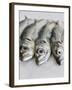 Mackerel-Mauricio Abreu-Framed Photographic Print