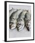 Mackerel-Mauricio Abreu-Framed Photographic Print