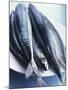 Mackerel-Philip Webb-Mounted Photographic Print