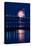 Mackinac Bridge Fireworks-Steve Gadomski-Stretched Canvas
