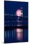 Mackinac Bridge Fireworks-Steve Gadomski-Mounted Photographic Print