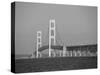 Mackinac Bridge, Mackinaw City, Michigan, USA-Michael Snell-Stretched Canvas