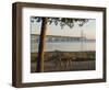 Mackinac Bridge, Mackinaw City, Michigan, USA-Peter Hawkins-Framed Photographic Print