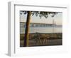 Mackinac Bridge, Mackinaw City, Michigan, USA-Peter Hawkins-Framed Photographic Print