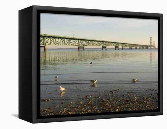 Mackinac Bridge, Mackinaw City, Michigan, USA-Peter Hawkins-Framed Stretched Canvas