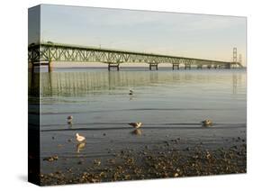 Mackinac Bridge, Mackinaw City, Michigan, USA-Peter Hawkins-Stretched Canvas