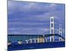 Mackinac Bridge, Michigan, USA-Chuck Haney-Mounted Photographic Print