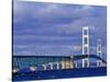 Mackinac Bridge, Michigan, USA-Chuck Haney-Stretched Canvas