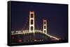 Mackinac Bridge, Michigan-Paul Souders-Framed Stretched Canvas