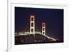 Mackinac Bridge, Michigan-Paul Souders-Framed Photographic Print