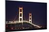 Mackinac Bridge, Michigan-Paul Souders-Mounted Photographic Print