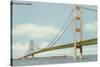 Mackinac Bridge, Michigan-null-Stretched Canvas