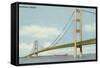 Mackinac Bridge, Michigan-null-Framed Stretched Canvas