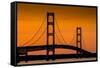 Mackinac Bridge Sunset-Steve Gadomski-Framed Stretched Canvas