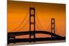 Mackinac Bridge Sunset-Steve Gadomski-Mounted Photographic Print