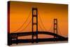 Mackinac Bridge Sunset-Steve Gadomski-Stretched Canvas