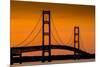 Mackinac Bridge Sunset-Steve Gadomski-Mounted Photographic Print