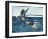 Mackinac Mallards-Rusty Frentner-Framed Giclee Print