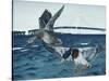 Mackinac Mallards-Rusty Frentner-Stretched Canvas