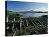 Macleods Tables, Dunvegan, Isle of Skye, Highlands Region, Scotland, UK, Europe-Peter Scholey-Stretched Canvas